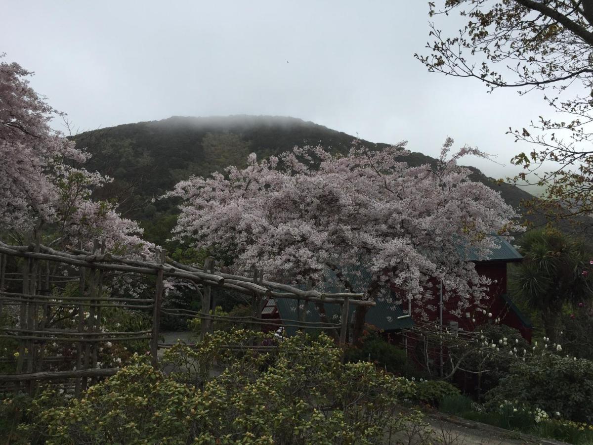 Hereweka Garden Retreat Dunedin Eksteriør bilde