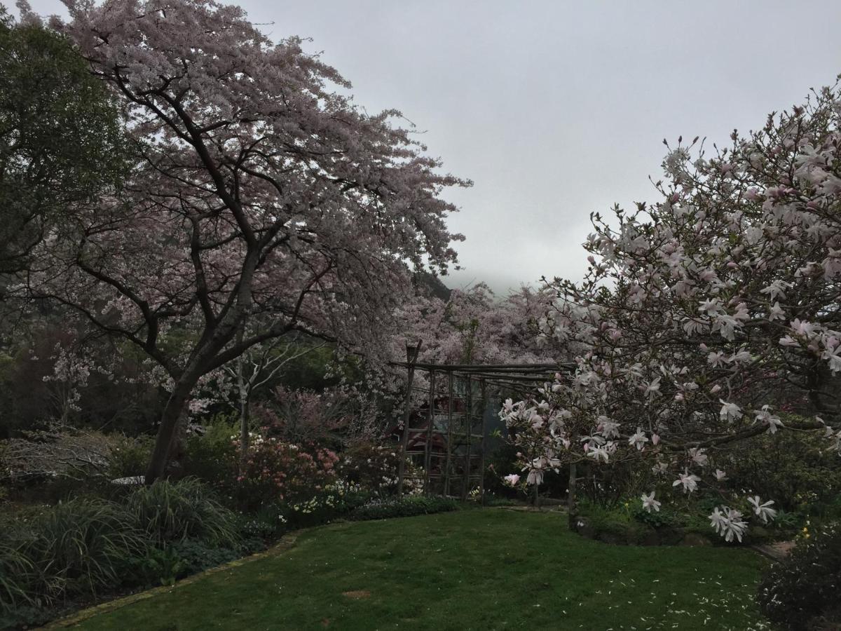Hereweka Garden Retreat Dunedin Eksteriør bilde