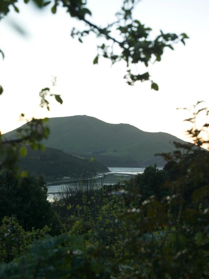 Hereweka Garden Retreat Dunedin Eksteriør bilde
