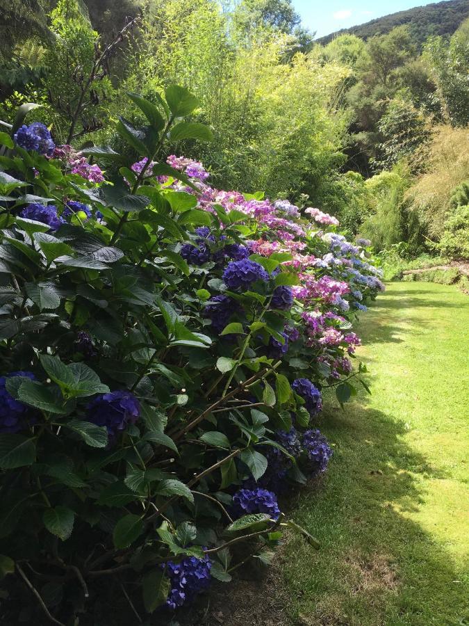 Hereweka Garden Retreat Dunedin Eksteriør bilde